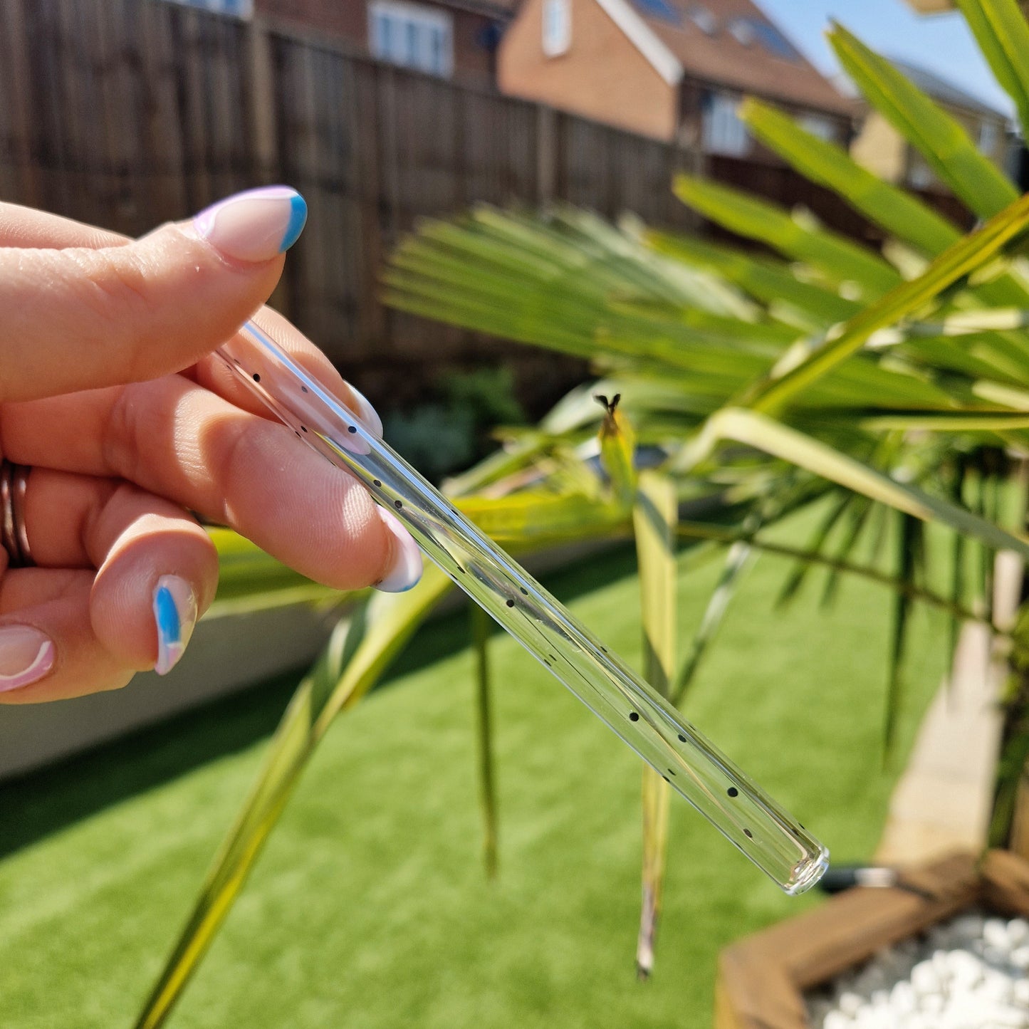 reusable glass spotty black spots straws