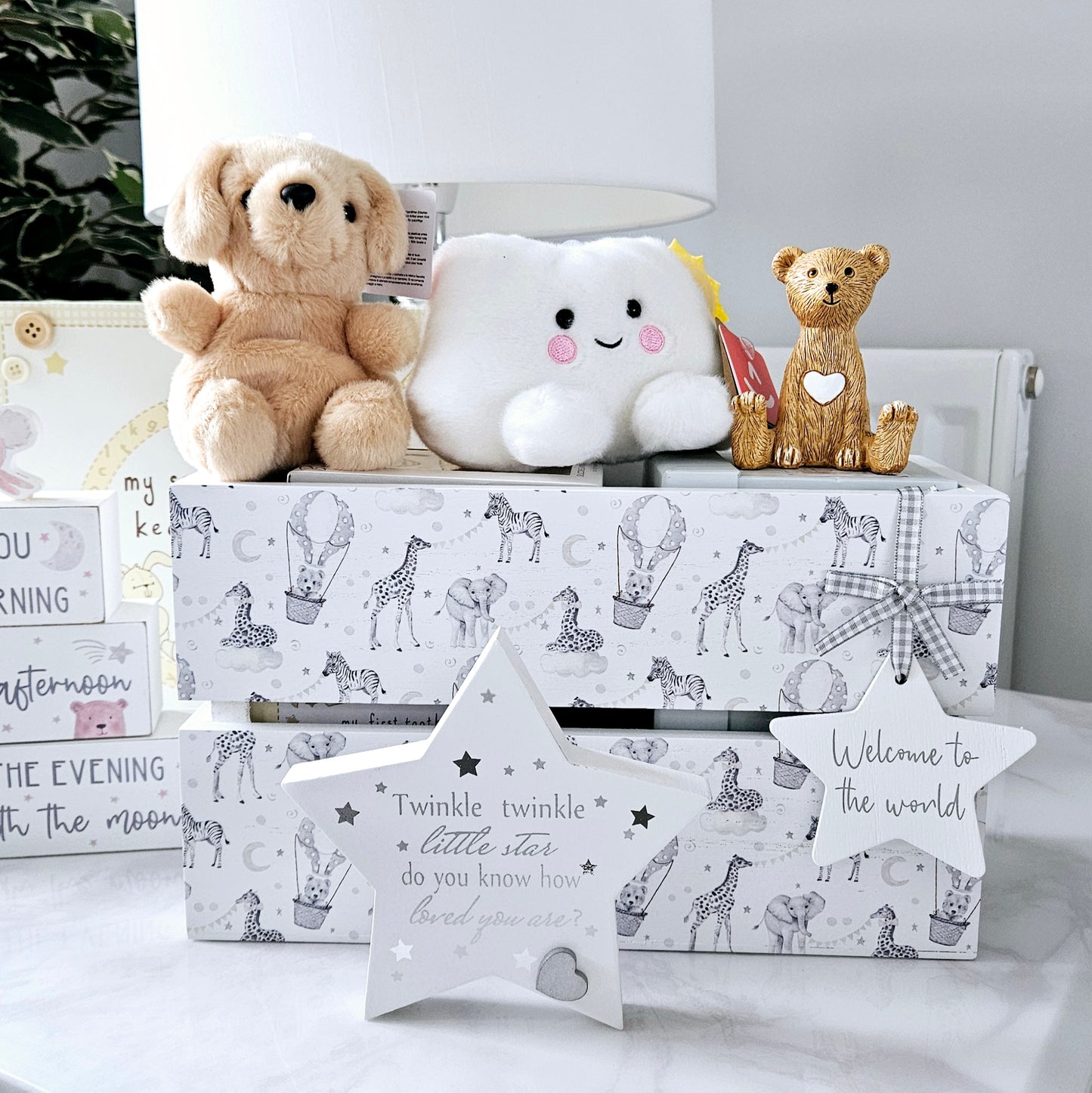 Baby Welcome To The World Crate