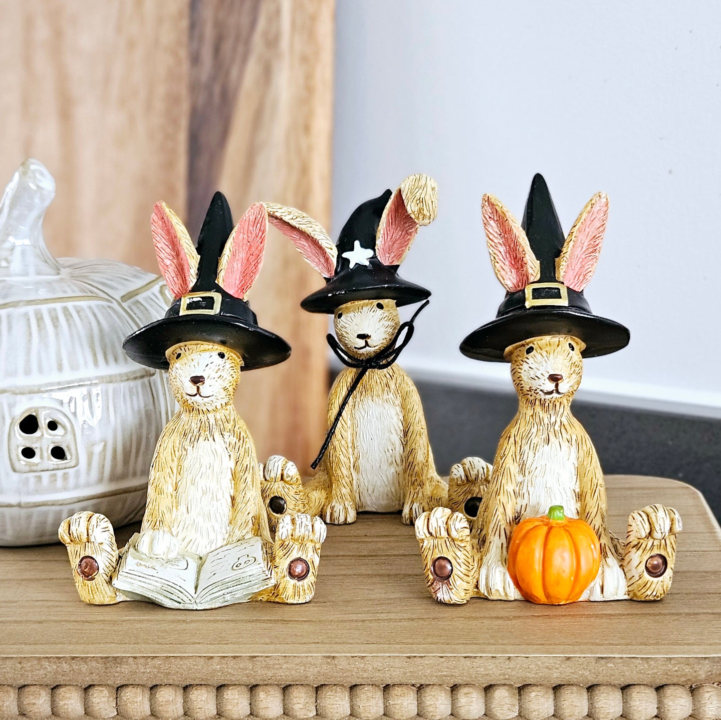 Halloween Sitting Witch Rabbit With Pumpkin