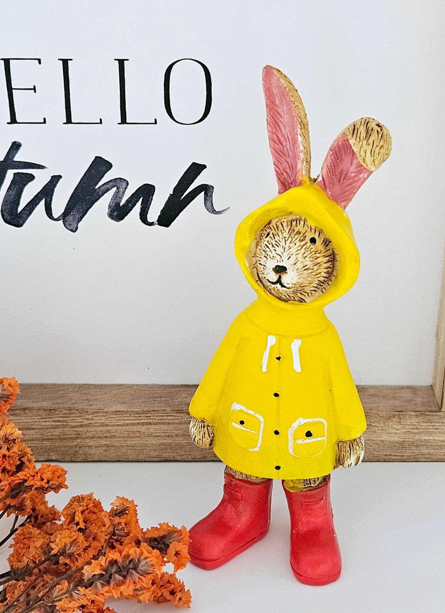 Jasper Rabbit Raincoat