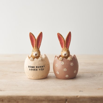 Peeping Bunny Daisy Egg