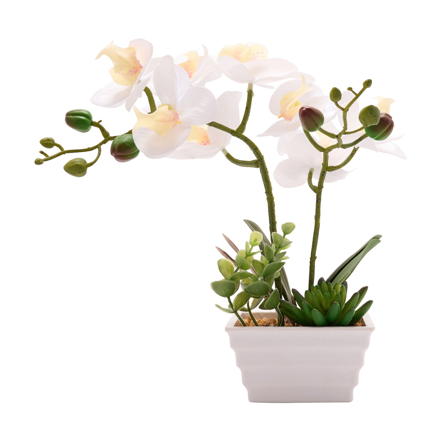 artificial orchid 30cm in white pot with pebbles