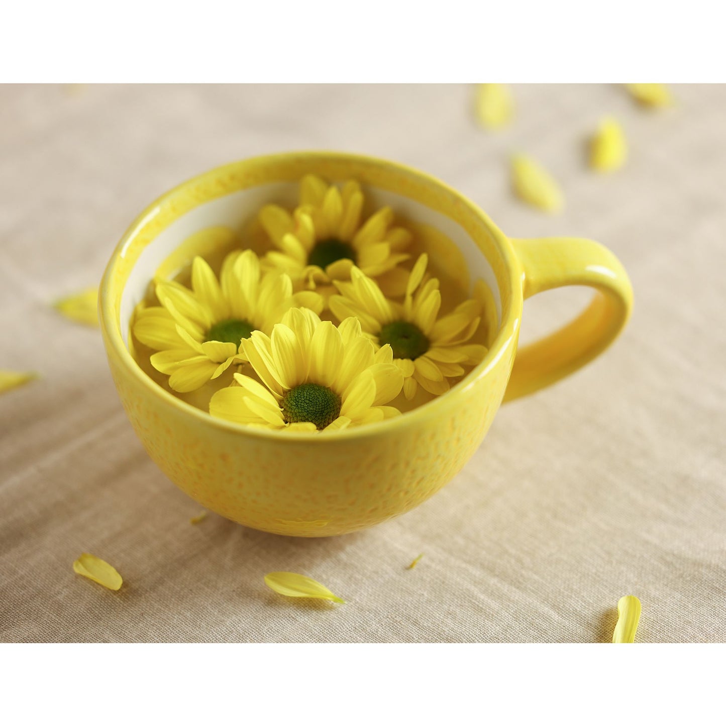 Lemon Slice Mug