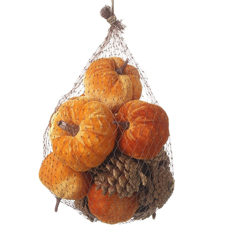 Bag of small pumpkins with pinecones in net bag