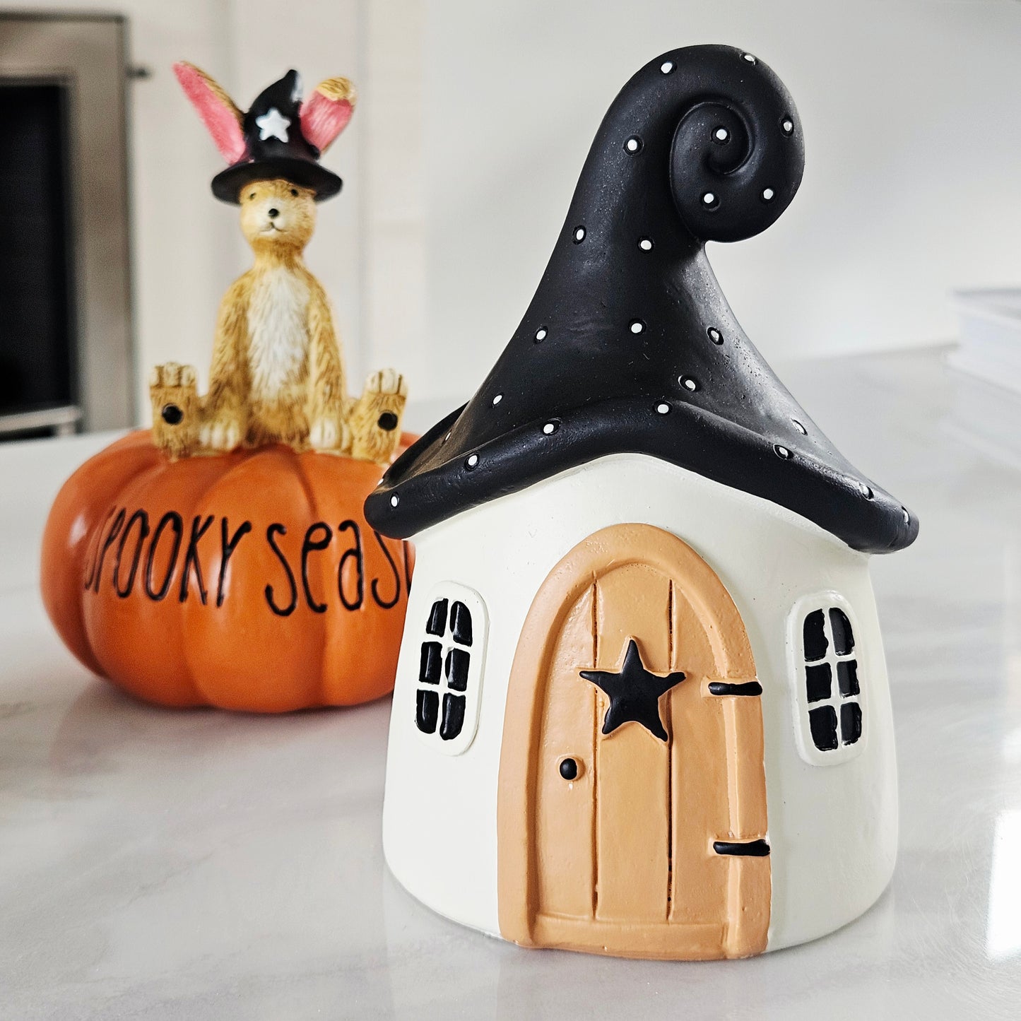 Witch Hat Roof House