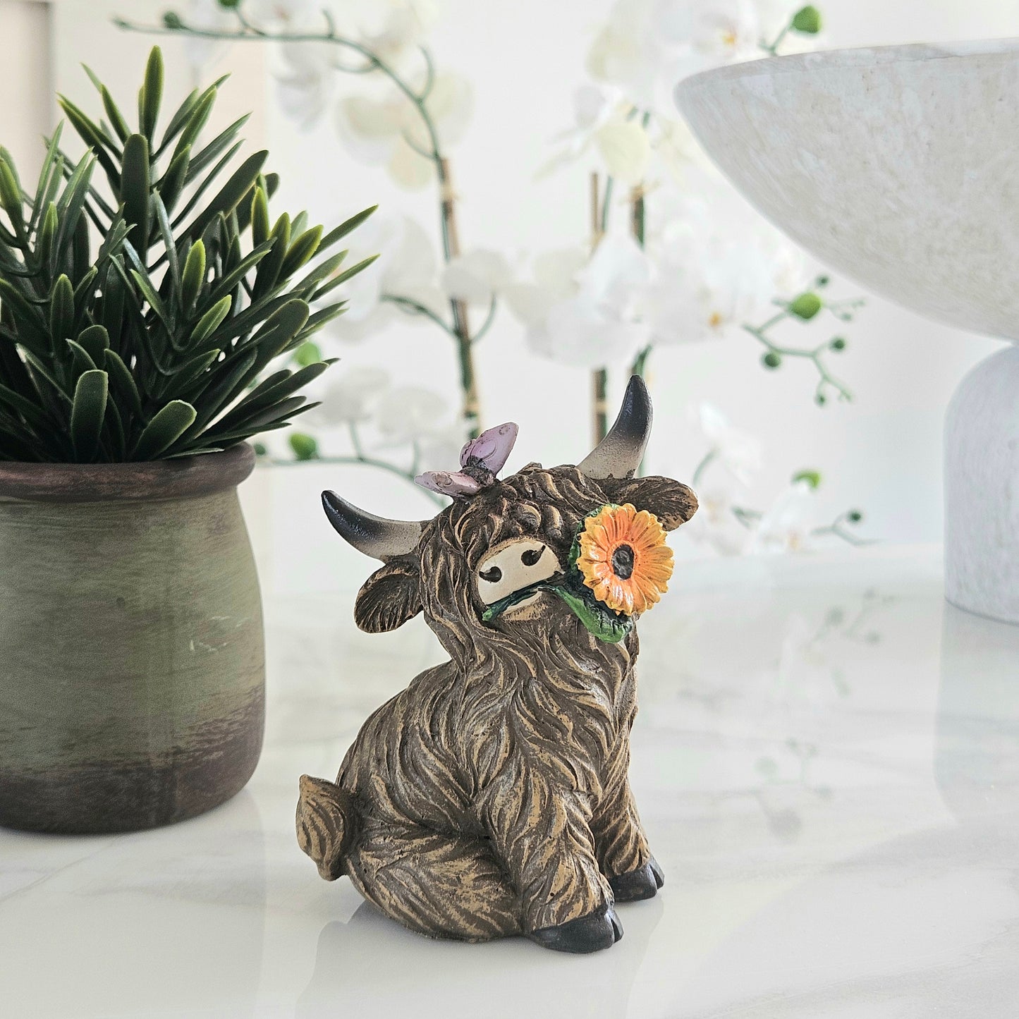 Highland Cow With Flower