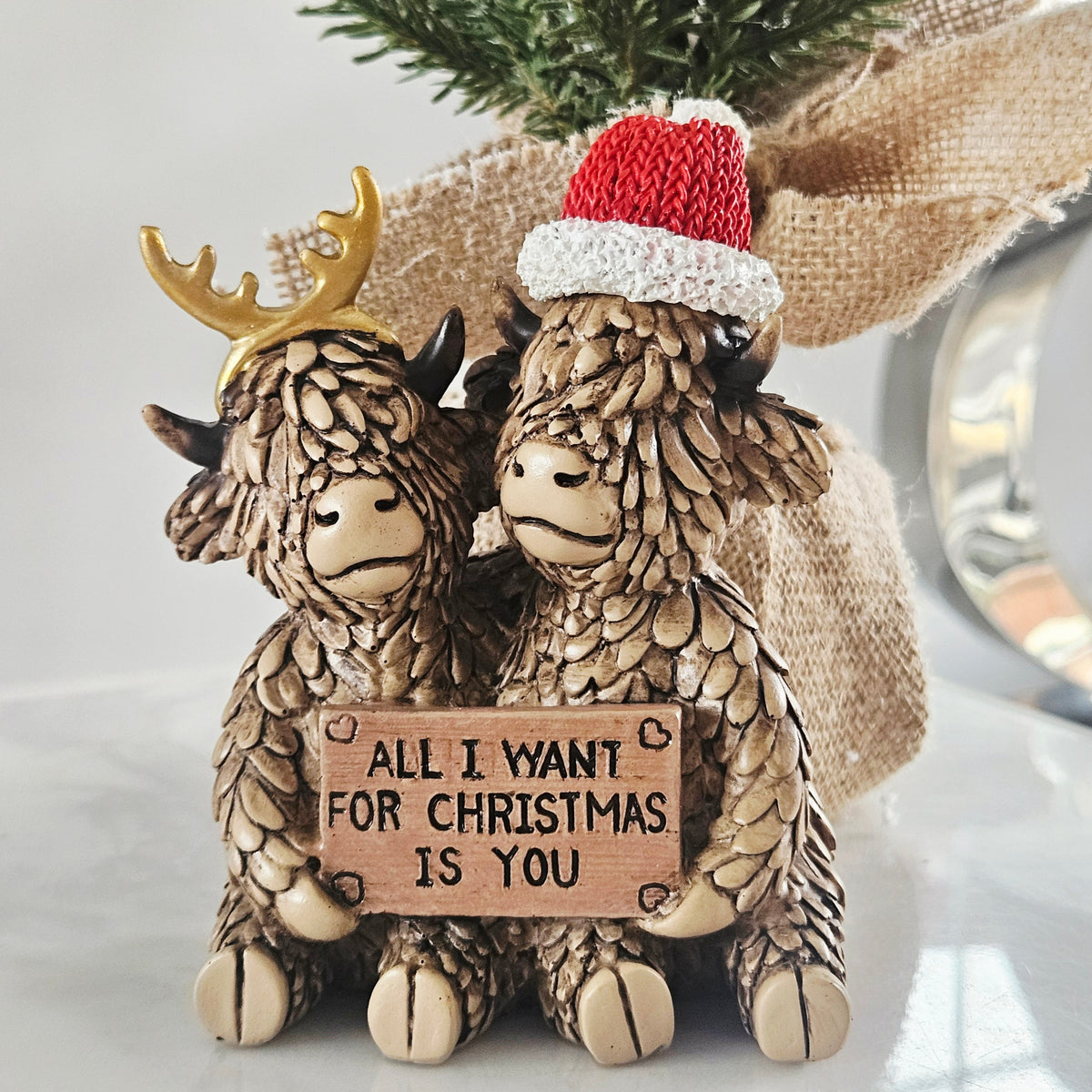 All I Want for Christmas Highland Cow | Christmas Decoration