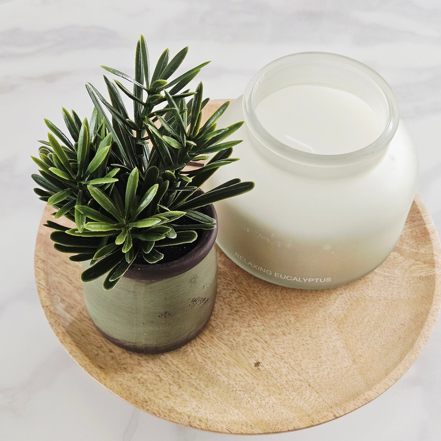 Rosemary In Green Pot Plant