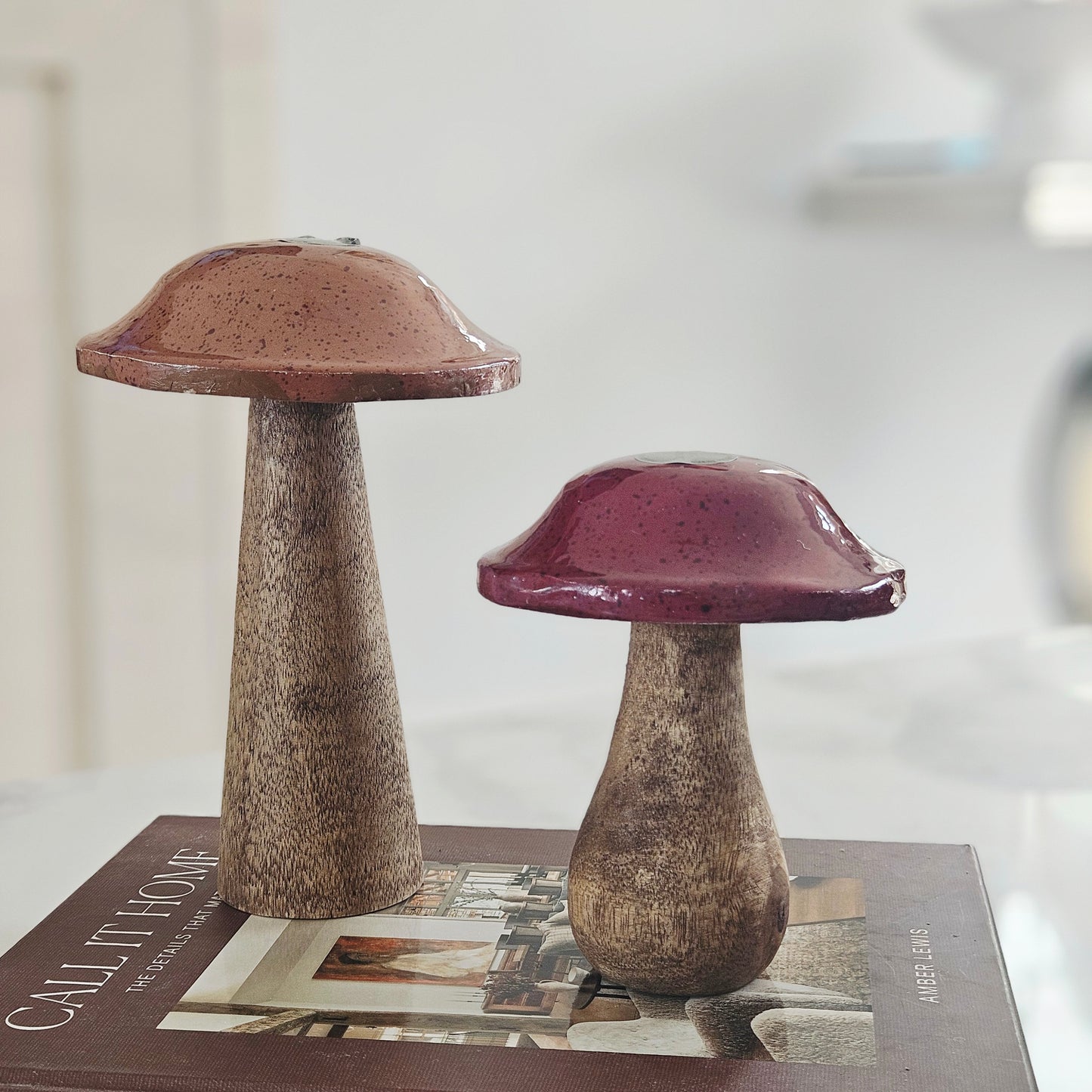 Medium Wooden Mushroom Ornament Mango Wood