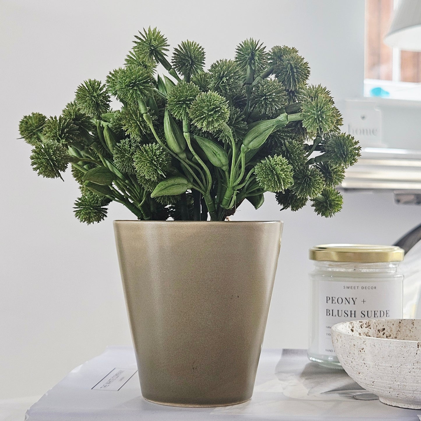 allium plant in pot