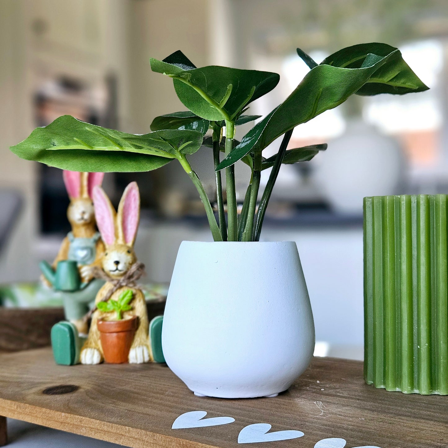 Alocasia Leaves in white Cement Pot with pebble stones 20cm