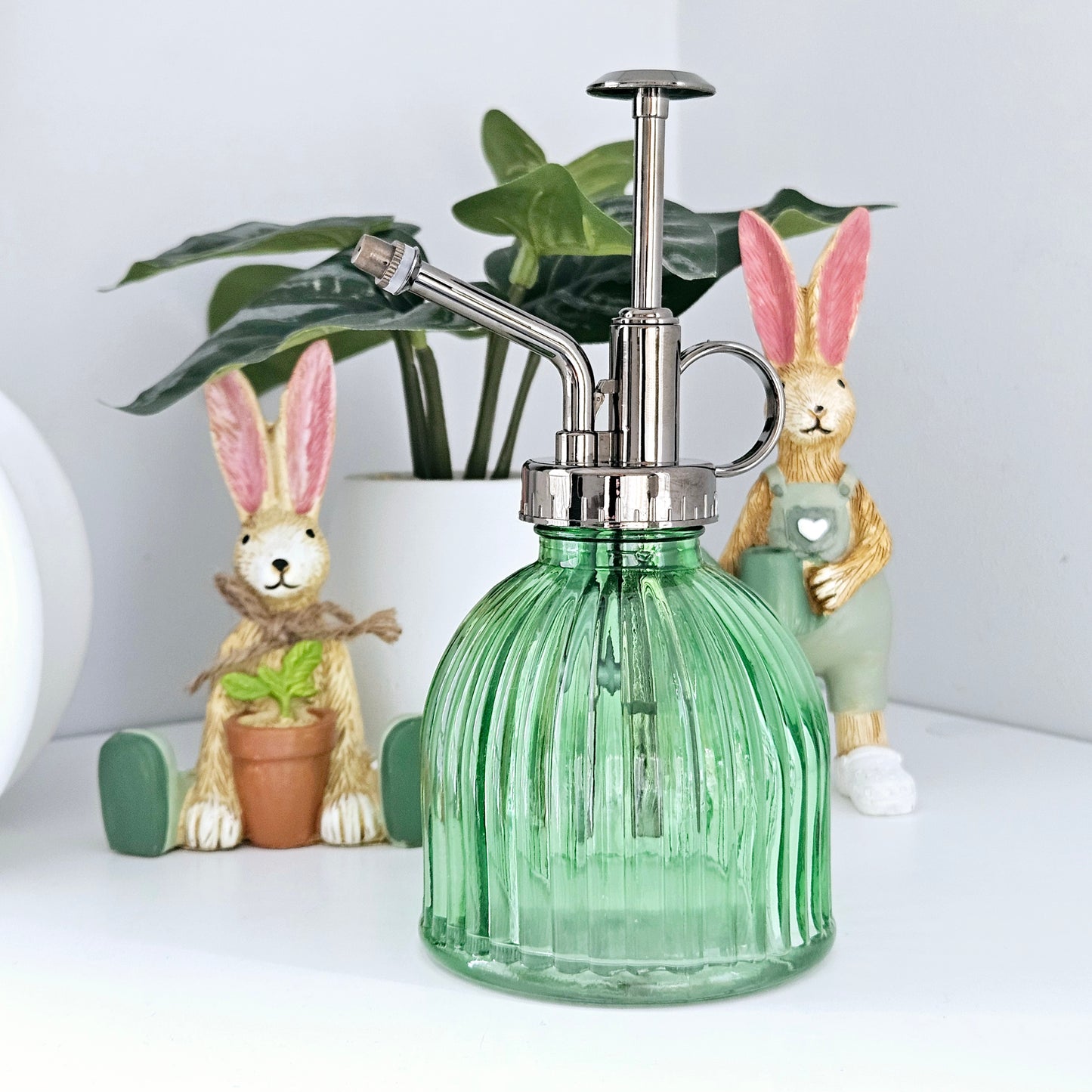 Plant Mister Green