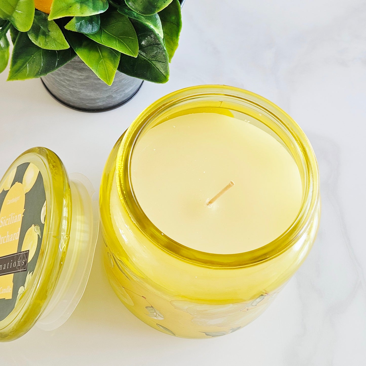 Lemon Grove Scented Candle