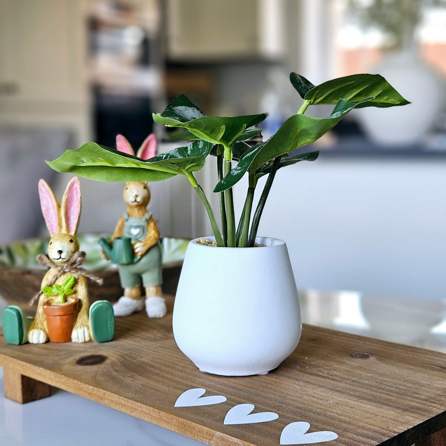 Alocasia Leaves in Cement Pot
