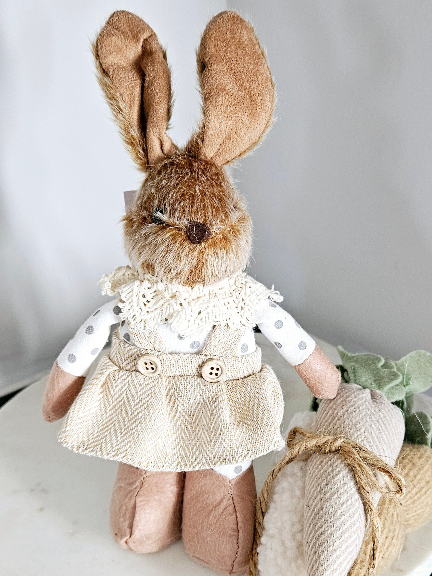 Girl Standing Rabbit