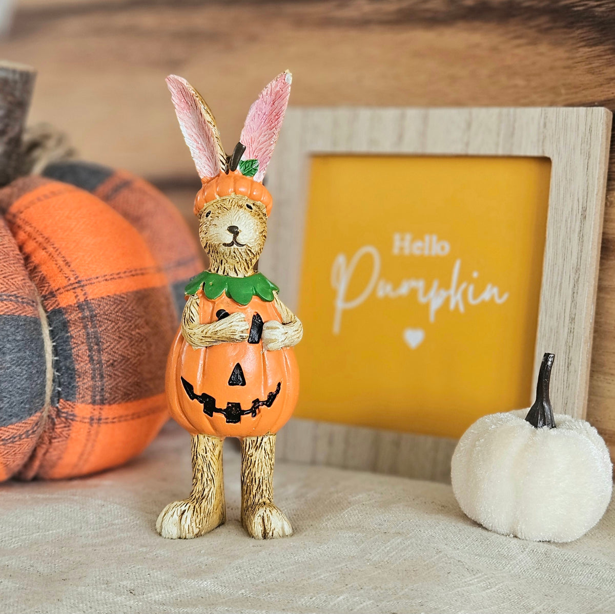 Pukin Rabbit Pumpkin Rabbit – Sweet Decor