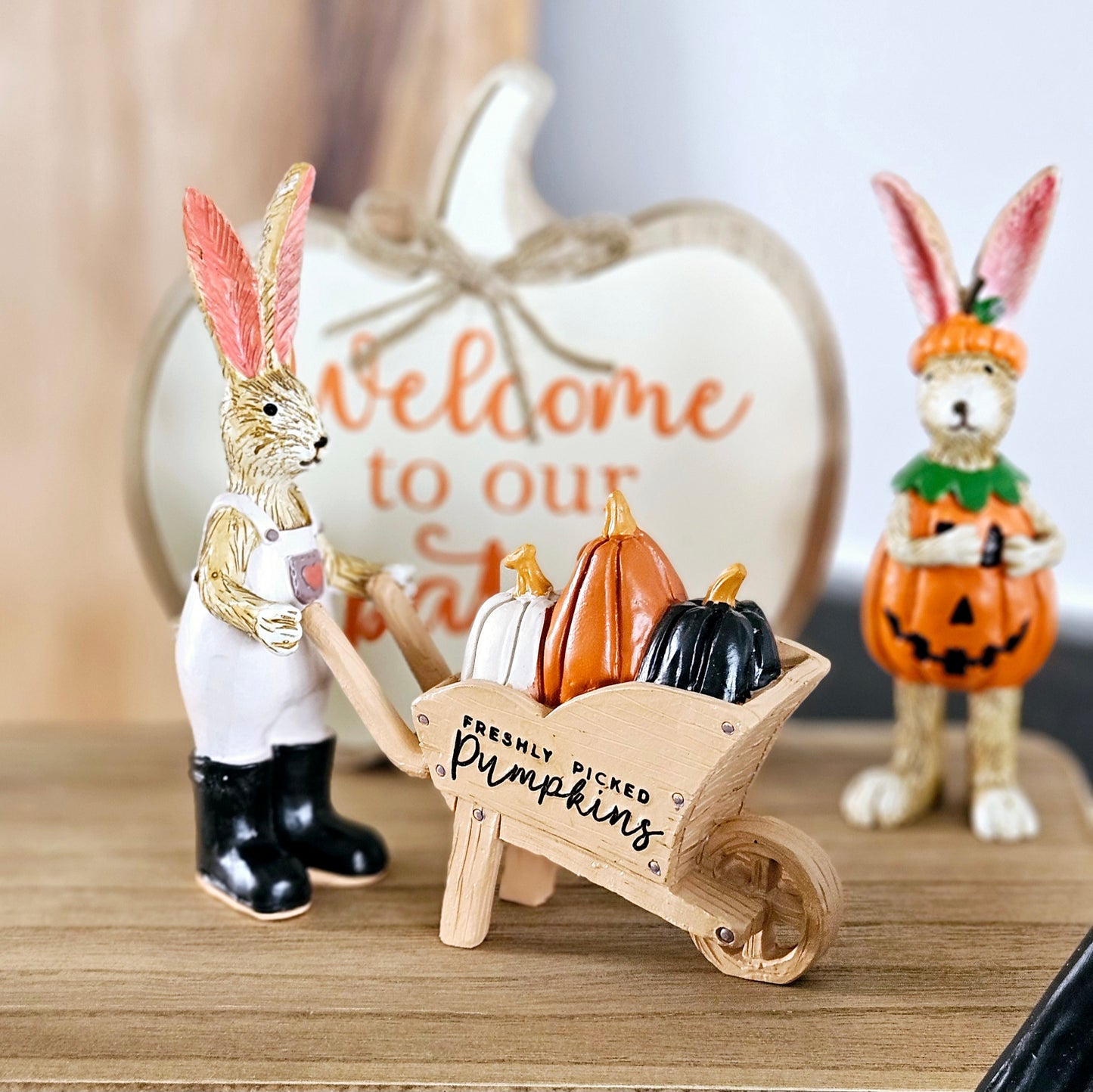 Freshly Picked Pumpkins Wheelbarrow Rabbit