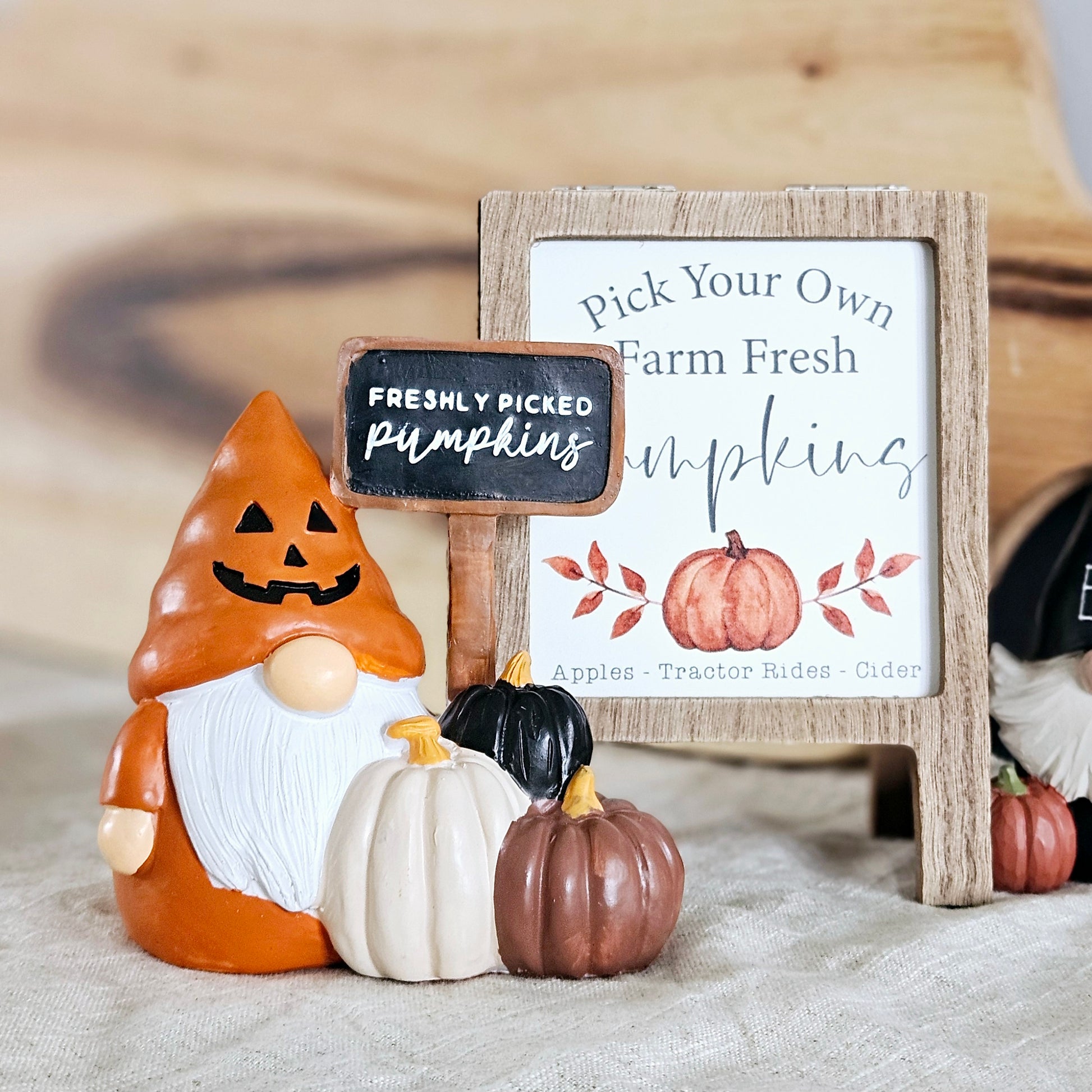 halloween gonk dressed in orange pumpkin costume holding a sign which reads freshly picked pumpkins