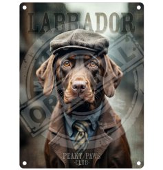 Chocolate Labrador Peaky Paws Metal Sign