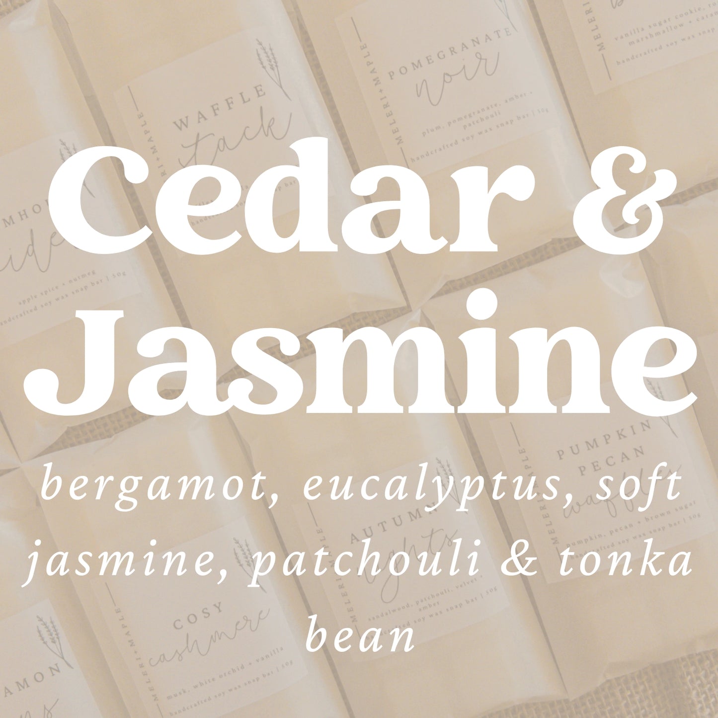 Cedar & Jasmine Wax Melt Bar