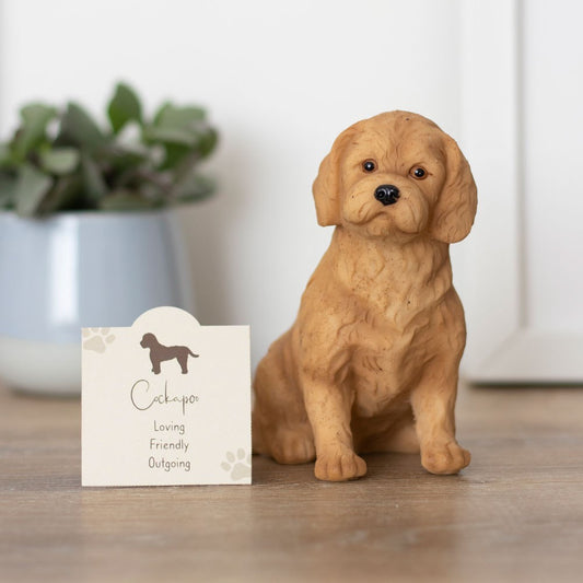 cockapoo resin dog ornament with a sentiment card 