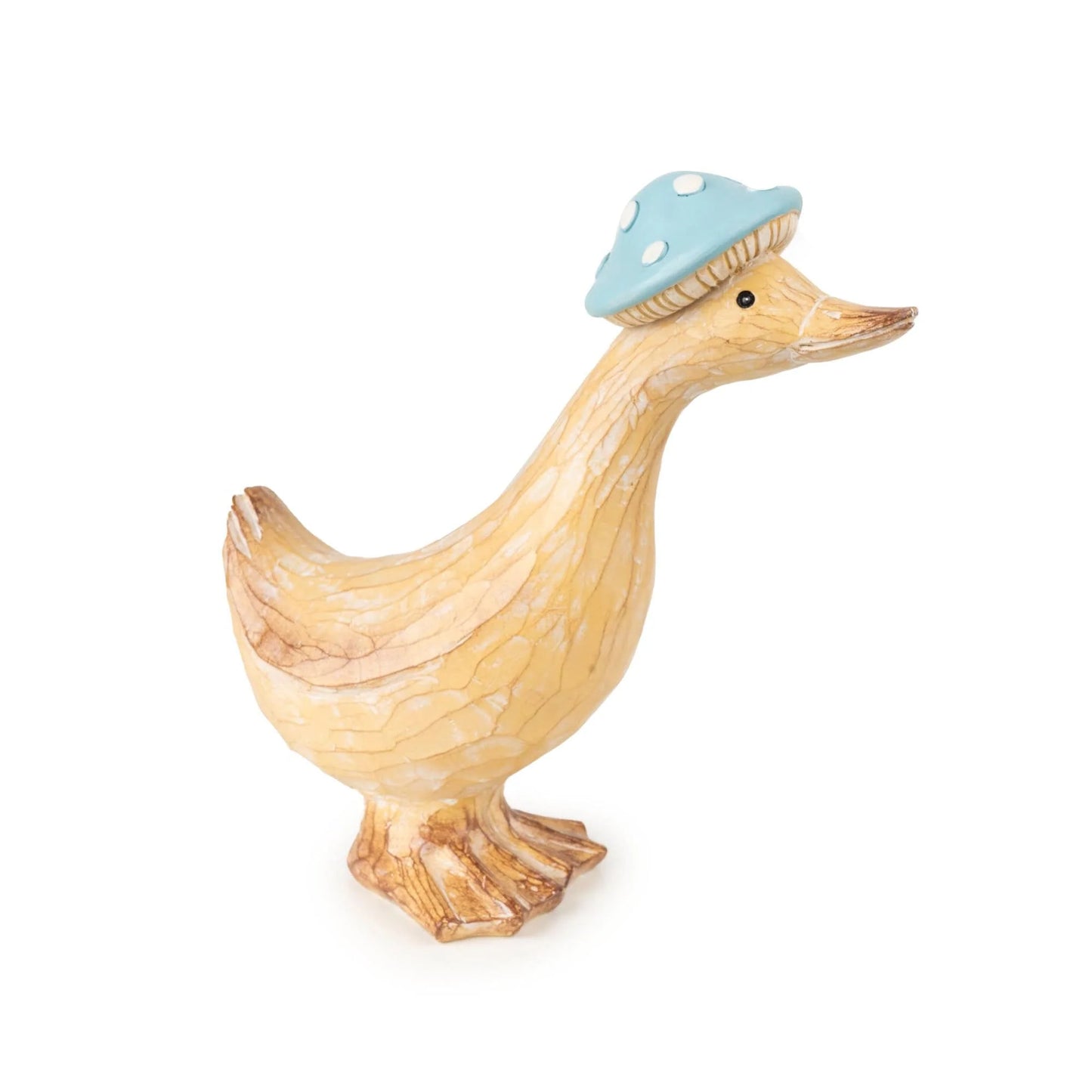 Duck With Hat In Duck Egg