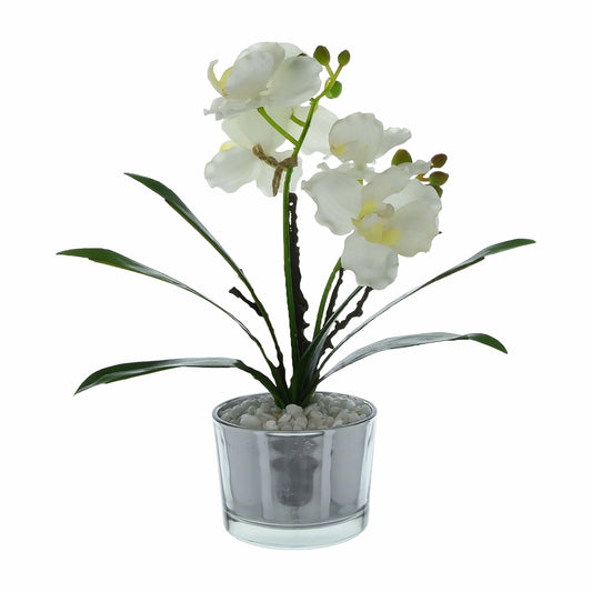 26CM CREAM ORCHID IN SILVER POT