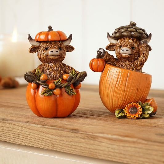 Two decorative figurines of Highland cows with pumpkins on a wooden surface.