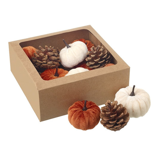 Decorative box with pumpkins and pinecones inside white and orange mix