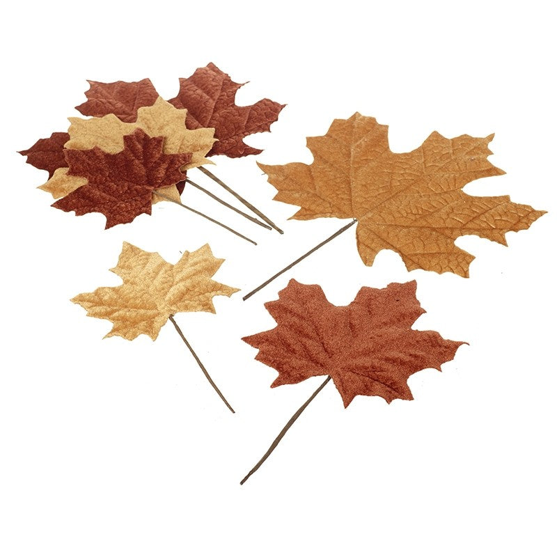 set of autumnal leaves in brown tones