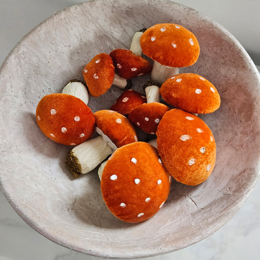 Bag of decorative mushrooms with orange and white caps on a white background