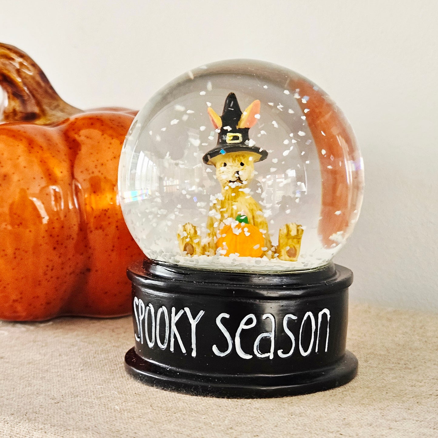 Jasper Witch Rabbit In Snow Globe