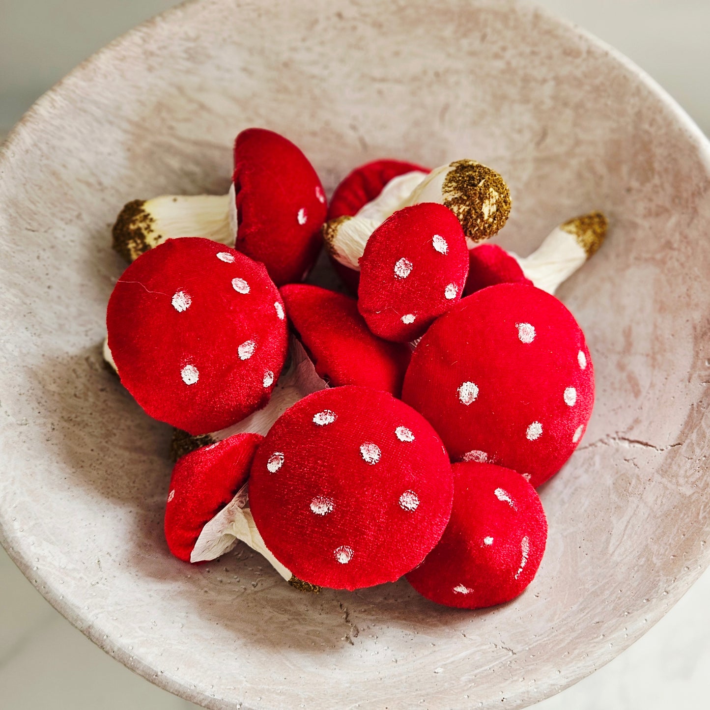 Bag Of 10 Decorative Toadstools