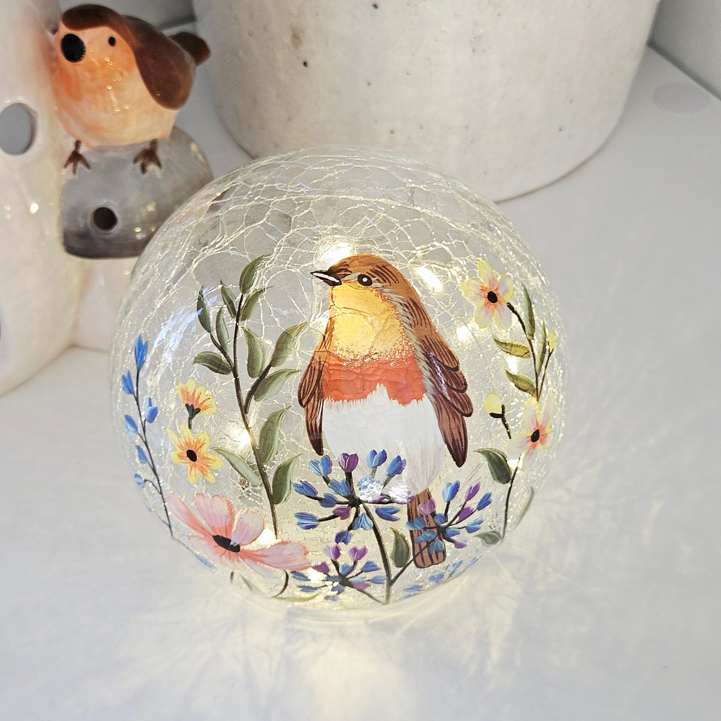 Robin and Flowers Led Ball