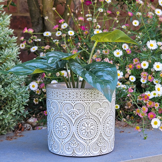 grey and green planter indoor and outdoor with detailed patterns throughout 12cm