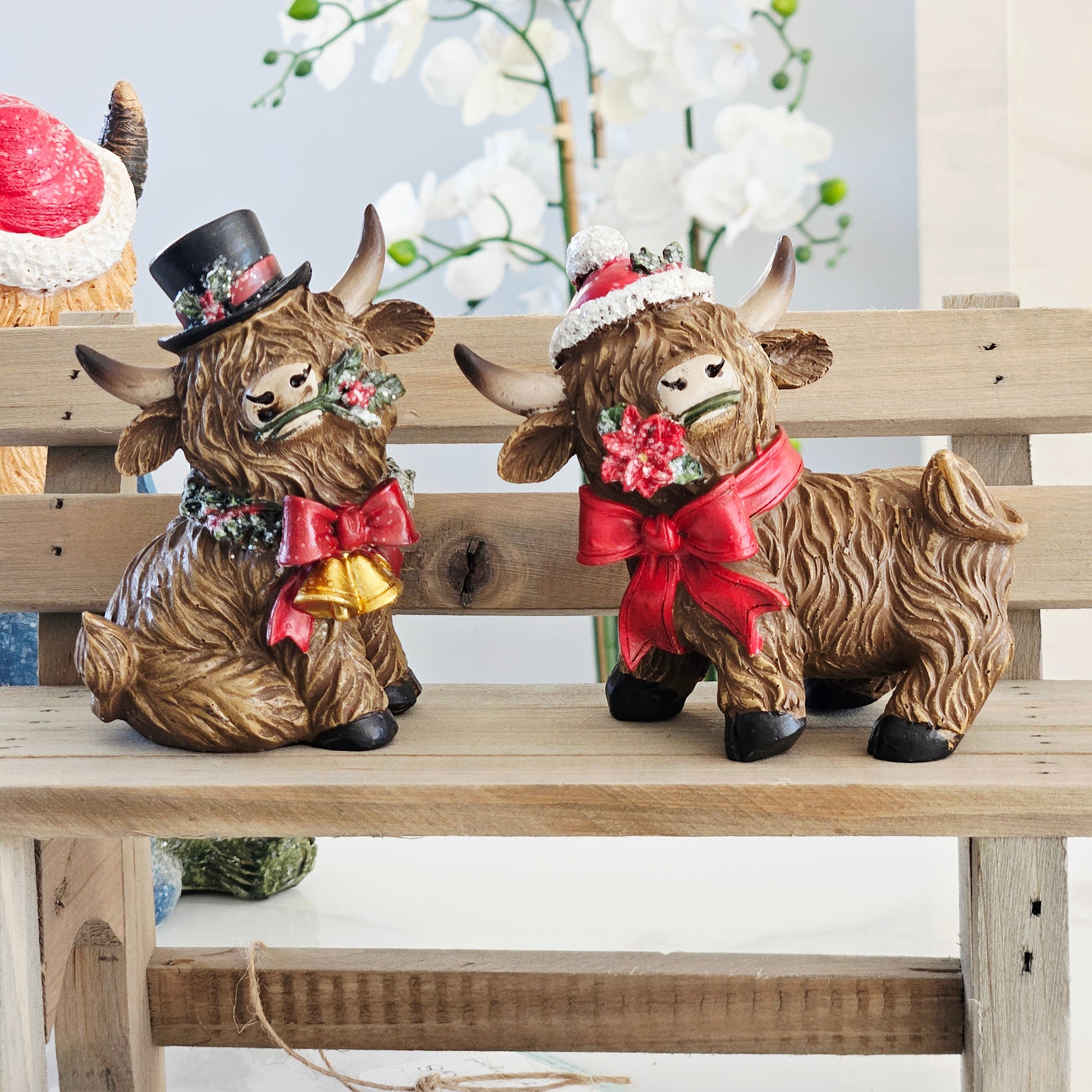 highland cows christmas black top hat and red bow scarf