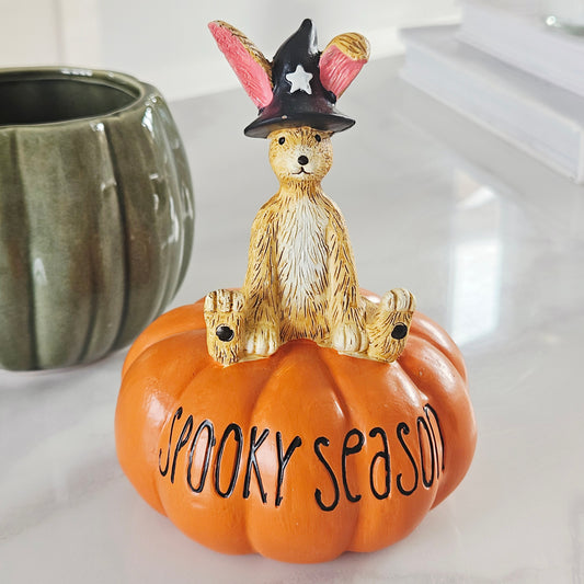 Decorative pumpkin with a rabbit figurine wearing a witch hat and the text 'Spooky Season' on an orange pumpkin