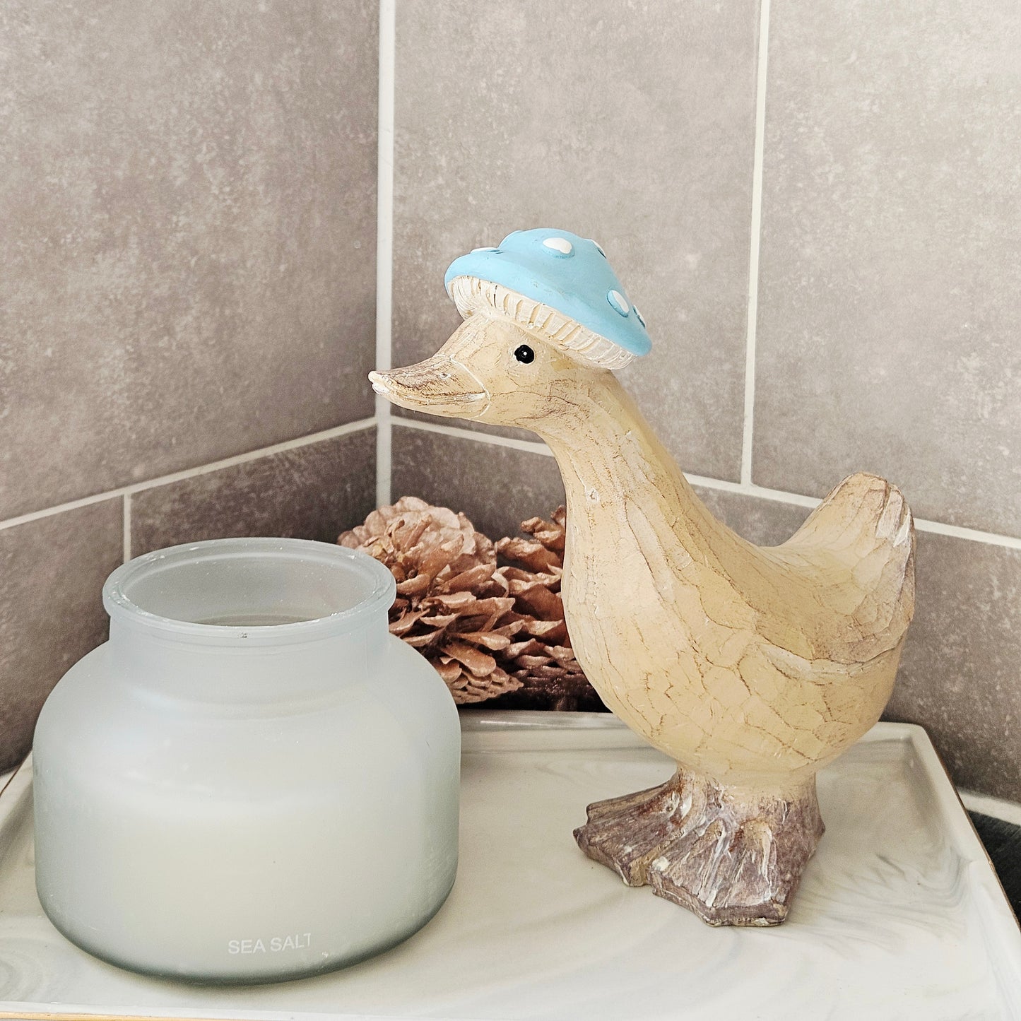 Duck With Hat In Duck Egg