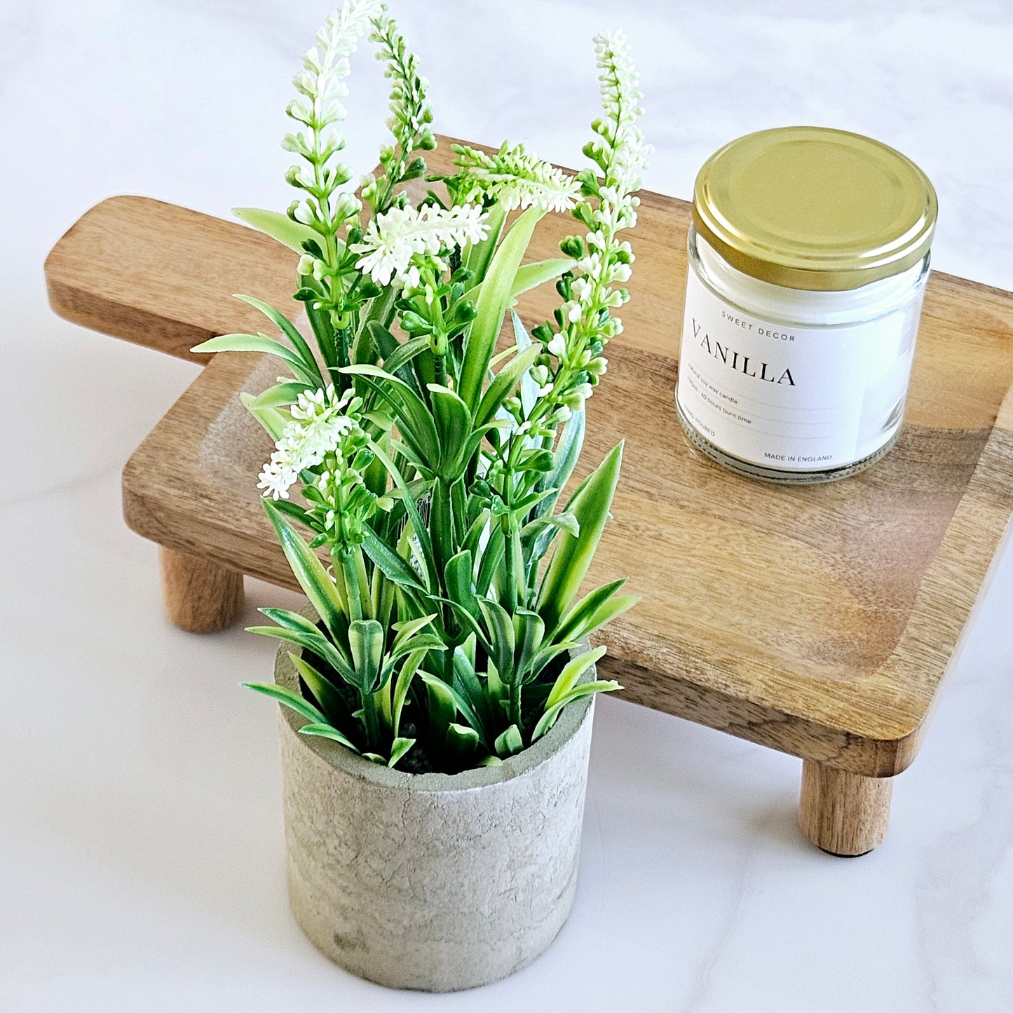 Tall Flower Plant In Pot