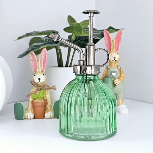 Plant Mister Green