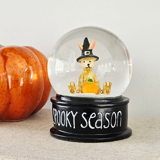Snow globe with a jasper rabbit in a Halloween costume witches hat and pumpkins, labeled 'Spooky Season'