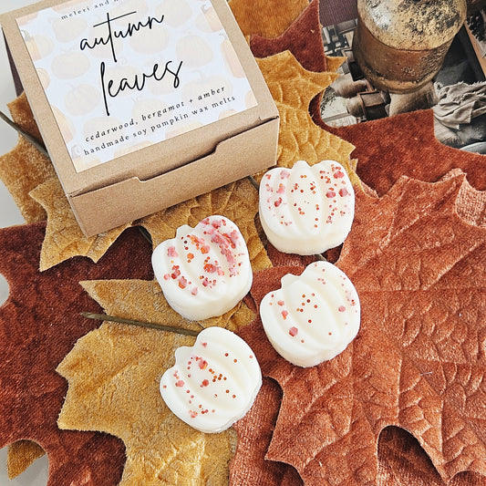 Autumn Leaves Pumpkin Patch soy wax melts handmade with natural soy wax, cosy autumn home fragrance featuring pumpkin patch and fall leaves.