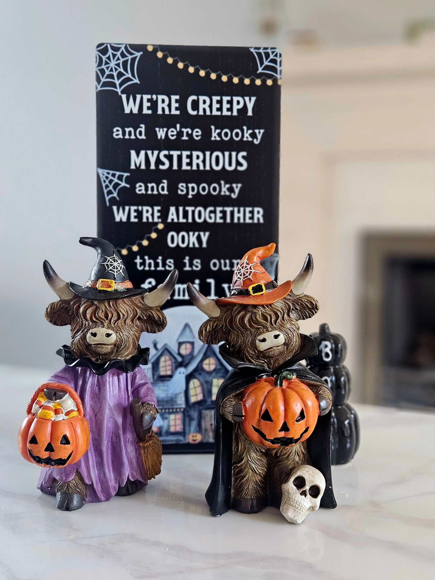 Halloween Highland Cow Witches | Spooky Cow 2 Assorted