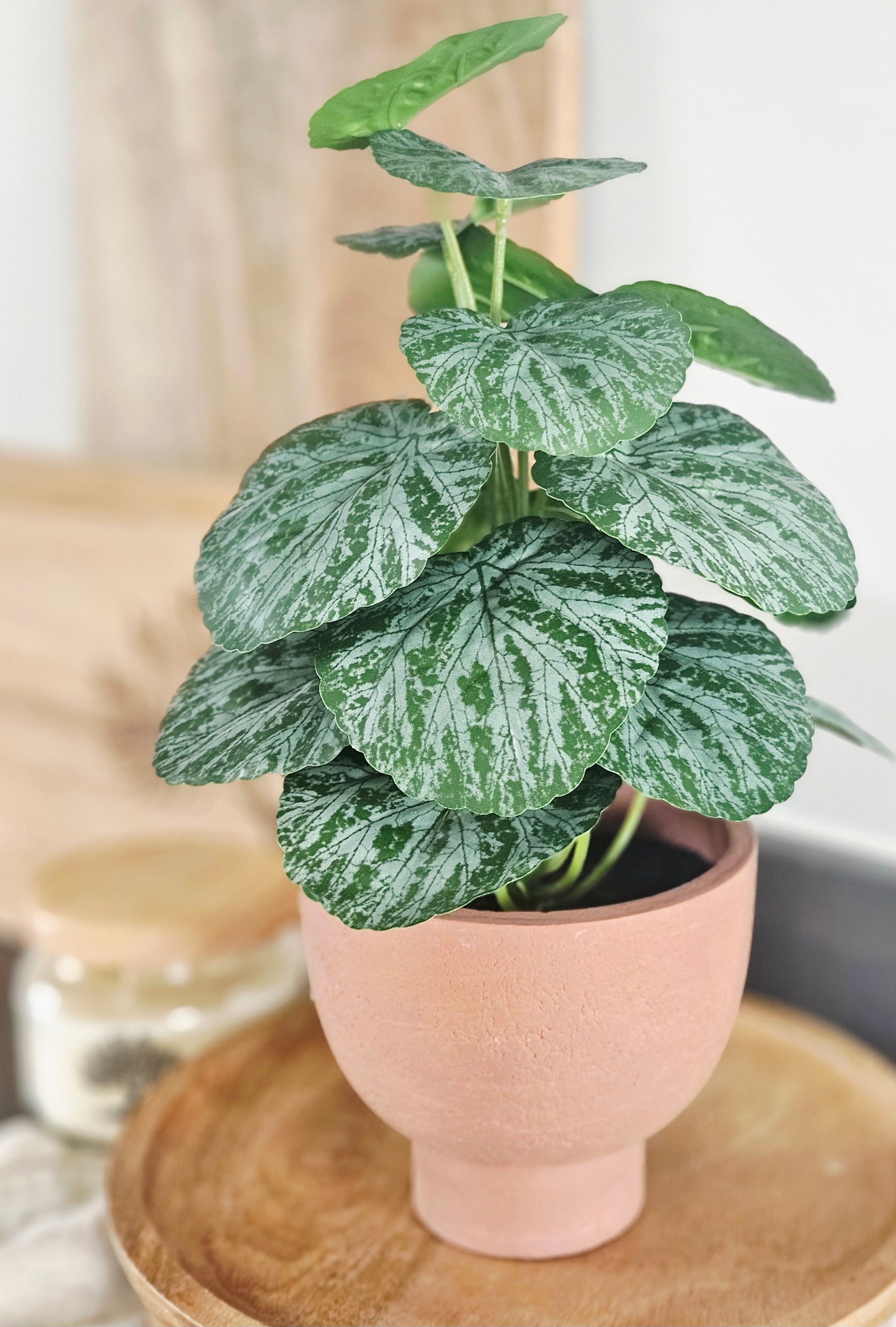 Potted Chinese money faux plant with green leaves 30cm