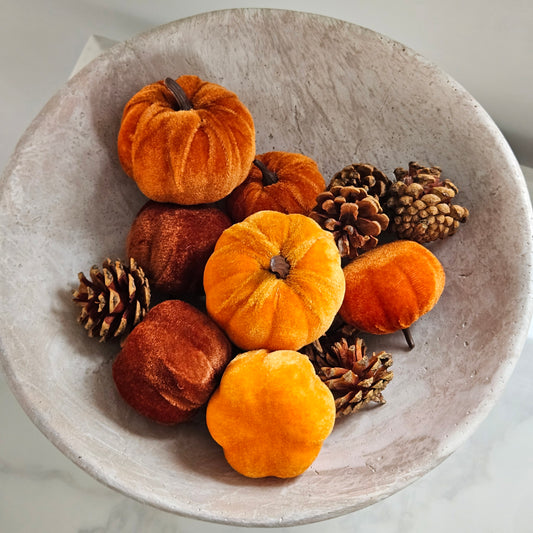 Bag of small and medium sized orange pumpkins with pinecones in net bag