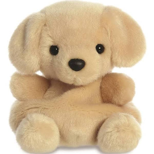 palm pal sunny labrador dog teddy