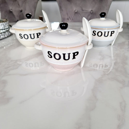 Soup Bowls with lid and spoon dipped colour 